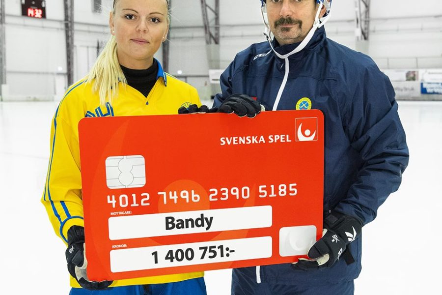 svspel