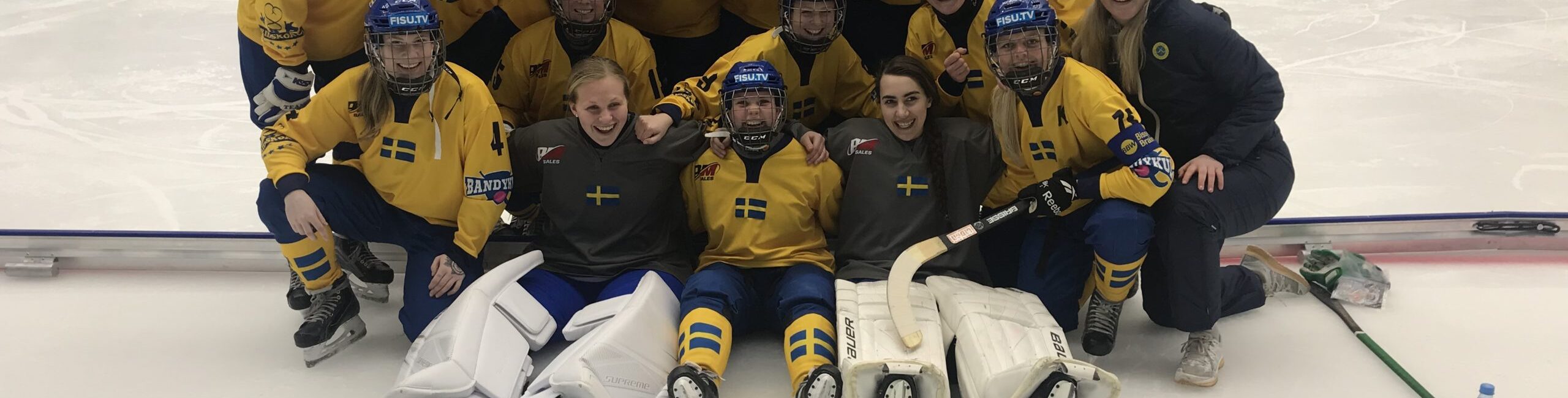swe uni dam lag