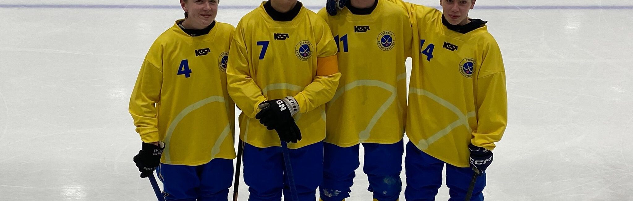 323537030 1528689950940950 8651677912887081528 n