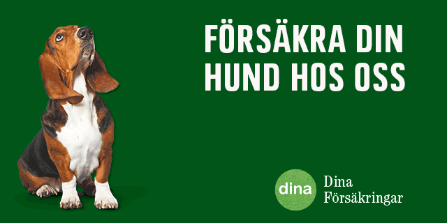 Banner Dina Försäkringar