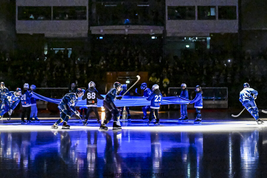 DSC 6068