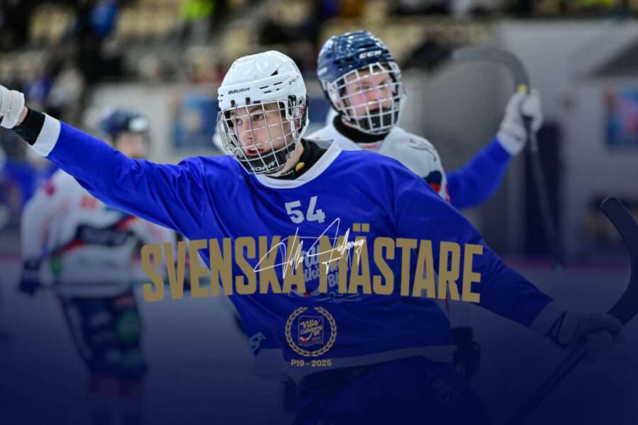 svenska fans