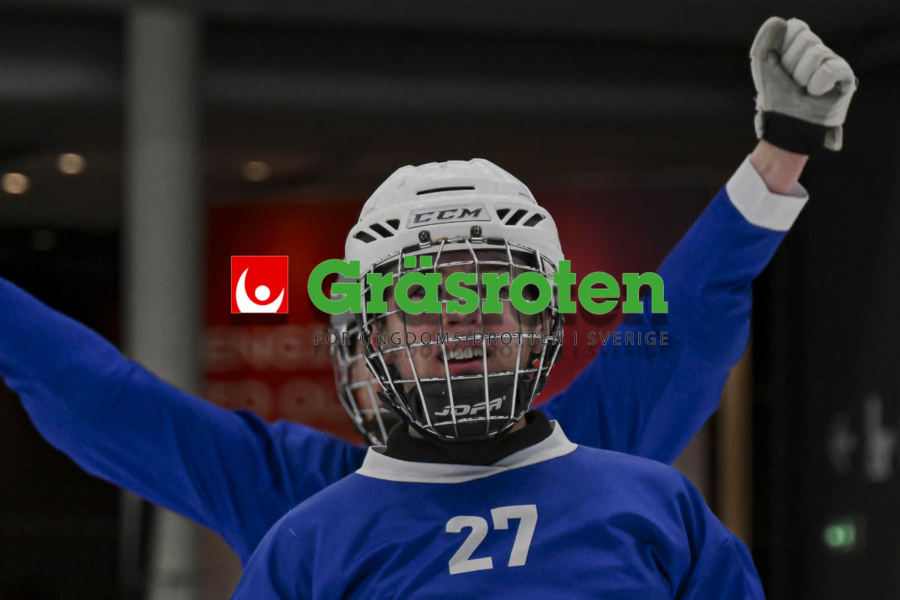 gräs