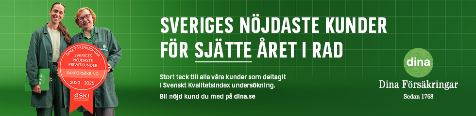 SKI Display 2025 Flera format X2