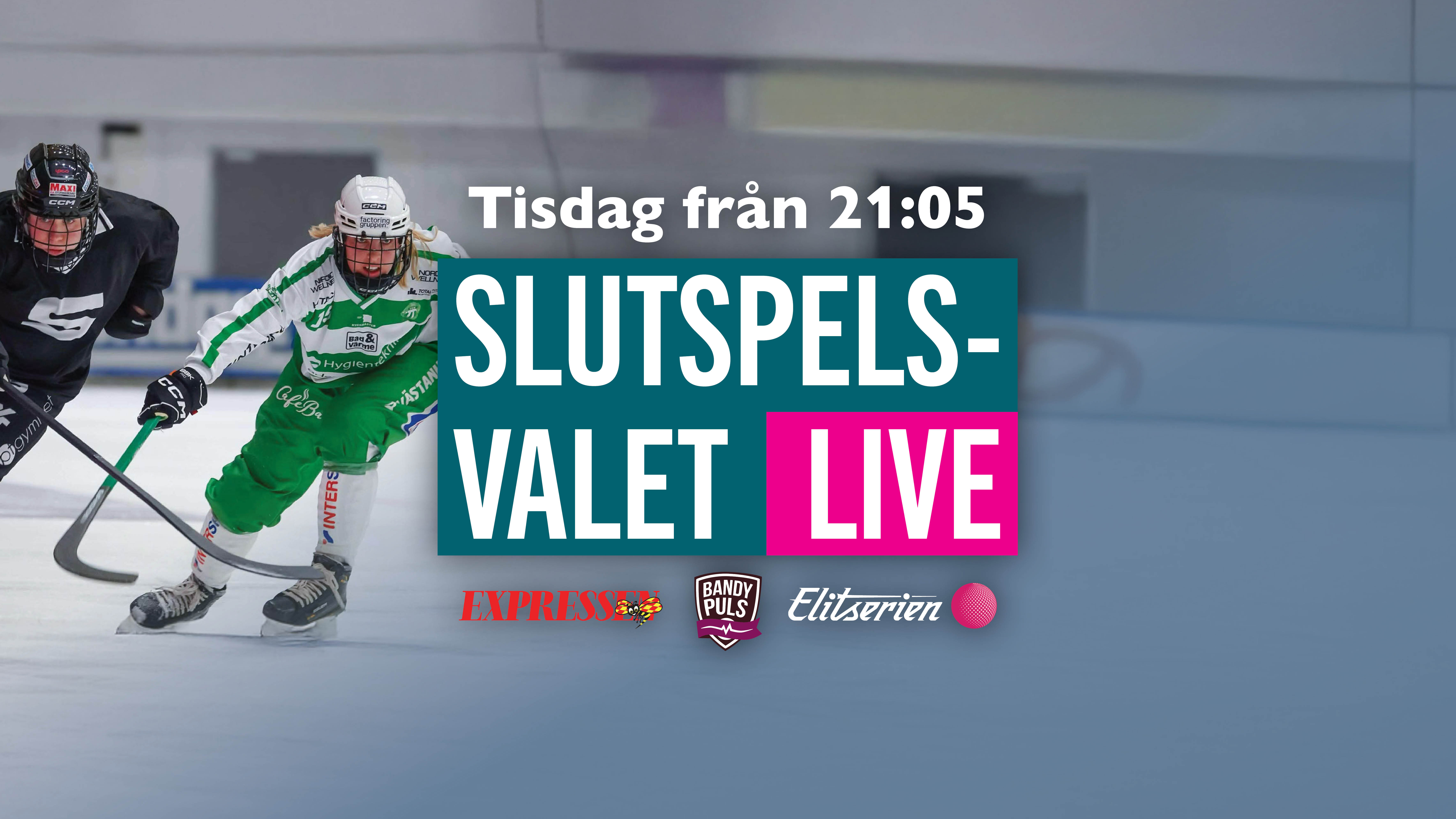 Slutspelsval dam hemsida publicera