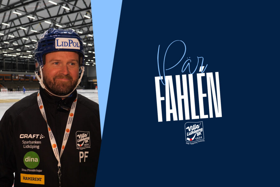 FALLEN VLBKSE