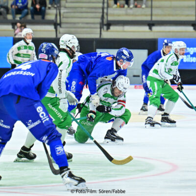 RS8 6161
